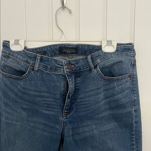 Talbots Women's Classic Denim Straight Leg Jeans